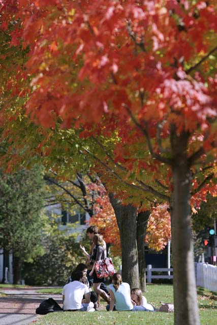 20081027_108