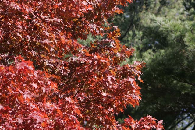 20081027_110