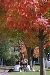 20081027_108