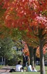 20081027_109