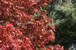 20081027_110