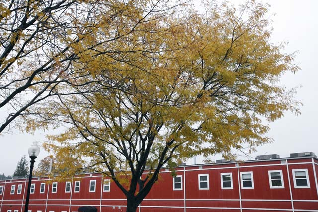 20081028_018