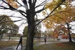 20081028_039
