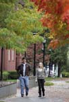 20081028_119
