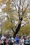 20081108_038