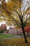 20081108_090