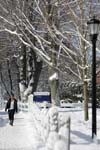 20090112_022