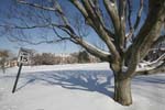 20090112_100
