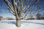 20090112_101