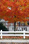 20091030_41